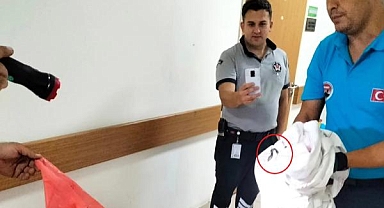 Hastanede yılan paniği