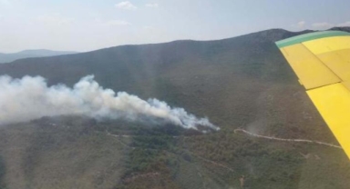 İzmir'de orman yangını