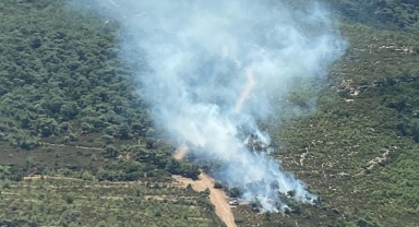 İzmir'de orman yangını çıktı