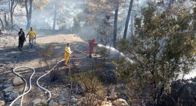 Kaş yangını kontrol altına alındı