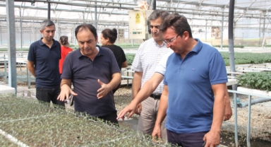 Kaymakam Şahin, tarımsal üretim tesislerini gezdi 