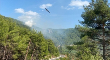 Kazdağları'nda orman yangını çıktı