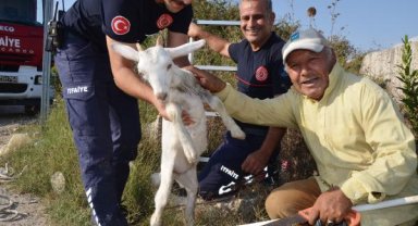 En sevimli operasyon 