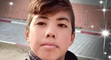 Kuzuyu kurtarmaya çalışırken canından oldu