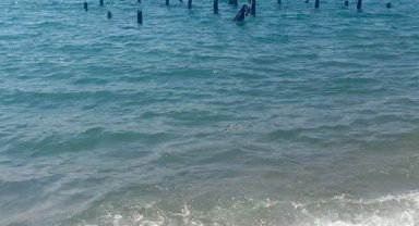 Lara'daki demir kazıklar temizlendi