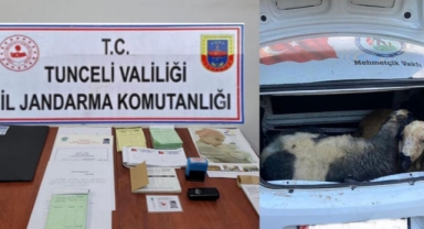 Mehmetçik Vakfı adına para toplayan dolandırıcılara gözaltı