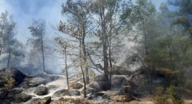 Muğla'da çıkan orman yangını söndürüldü