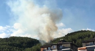 Muğla'da orman yangını