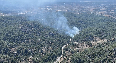 Muğla'da orman yangını çıktı
