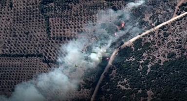Orman yangınına havadan ve karadan müdahale