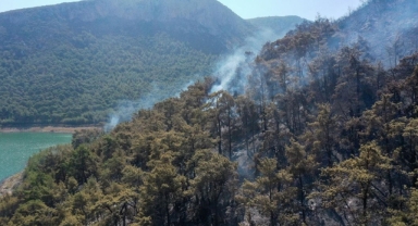 Orman yangınında 260 hektar alan zarar gördü