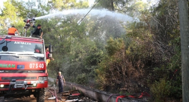 Ormanlık yangını söndürüldü