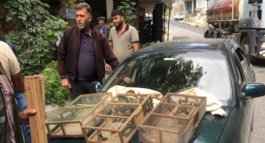 Saka kuşu avcılarına 73 bin 456 lira ceza