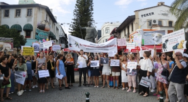 Tek çözüm kısırlaştırma