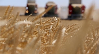 TÜİK: Tarımsal girdi fiyatları temmuzda yüzde 6,56 arttı