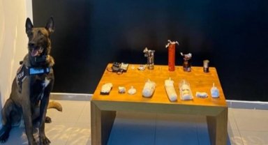 Uyuşturucu baskını