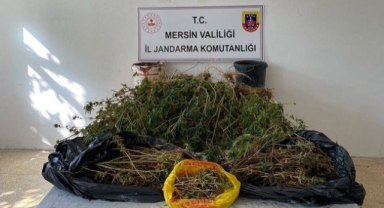 Uyuşturucu üreticilerine baskın: 2 gözaltı