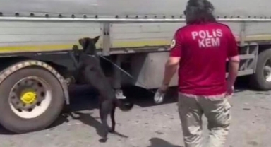 'Uzi' ile uyuşturucu operasyonu