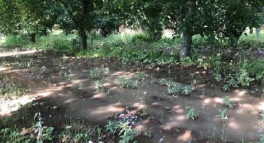 Vahşi sulama sürüyor!