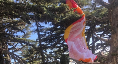 Yamaç paraşütü ağaca dolanan Rus pilot kurtarıldı