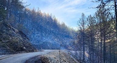 Alanya’daki yangın kontrol altına alındı 