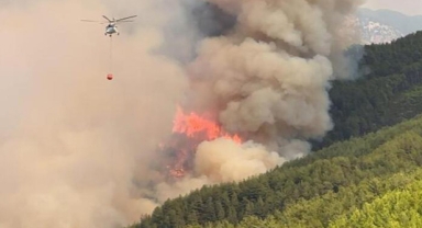 Yangına havadan ve karadan yoğun müdahale