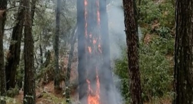 Yıldırımlar 36 yeri yaktı