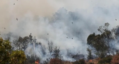 Yunanistan'da orman yangınları 16. gününde