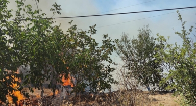 Zirai alanda çıkan yangın kontrol altına alındı