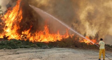 '15 yıl sonra yeniden yanacak ormanlar kuruyoruz'