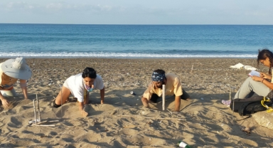 150 bin caretta caretta yavrusu denize ulaştı