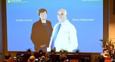 2023 Nobel Tıp Ödülü'nün sahibi belli oldu