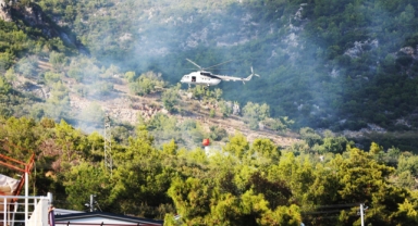 Ağaçlık alanda çıkan yangın söndürüldü