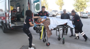 Ağaçtan düşen kişi öldü