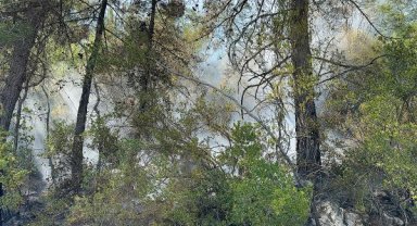 Alanya'da çıkan orman yangını büyümeden kontrol altına alındı