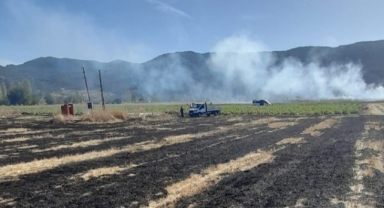 Anız yangını büyümeden söndürüldü