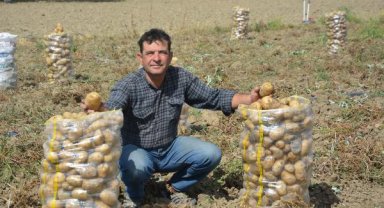 Antalya'da patates hasadı tamamlandı