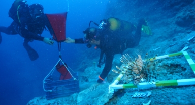 Antik batıkta yeni buluntular