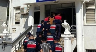 Avokado hırsızlığı şüphelisi 4 kişi yakalandı