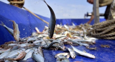 Balıkçılar yeni sezonda umduğunu bulamadı