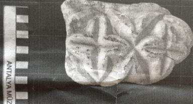 Belçikalı turist hakkında istenen ceza belli oldu