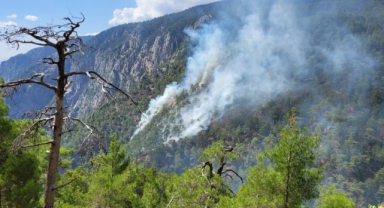 Burdur'daki orman yangınına müdahale sürüyor