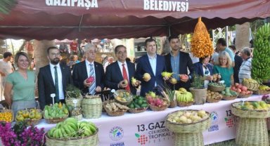 Çekirdeksiz Nar ve Tropikal Meyve Festivali 