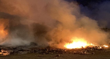 Çöp yığınında çıkan yangın söndürüldü