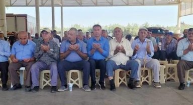 Döşemealtı'nda nar hasadı