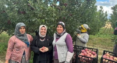 Elma hasadında yüzler gülüyor