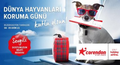 Evcil hayvanları ücretsiz taşıyacak