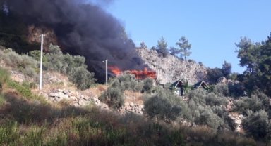 Evde çıkan yangın ormana sıçradı