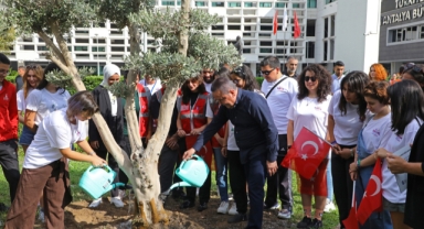 Gençlerle barış için zeytin ağacı dikti