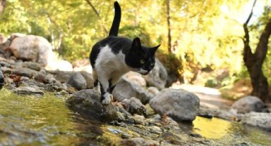 "Geyikbayırı'nı keşfedin ama kirletmeyin"